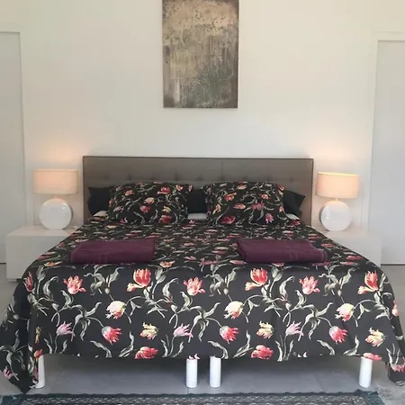 Belle Maison Monte Gozzi Proche Ajaccio Holiday home Appietto
