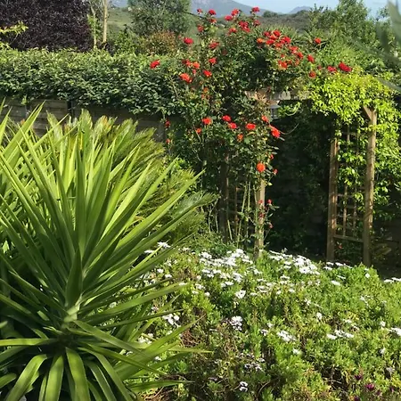 Vakantiehuis Belle Maison Monte Gozzi Proche Ajaccio Appietto